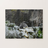 海の鳥。 ジグソーパズル (横)