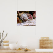 海の​​馬 ポスター (キッチン)