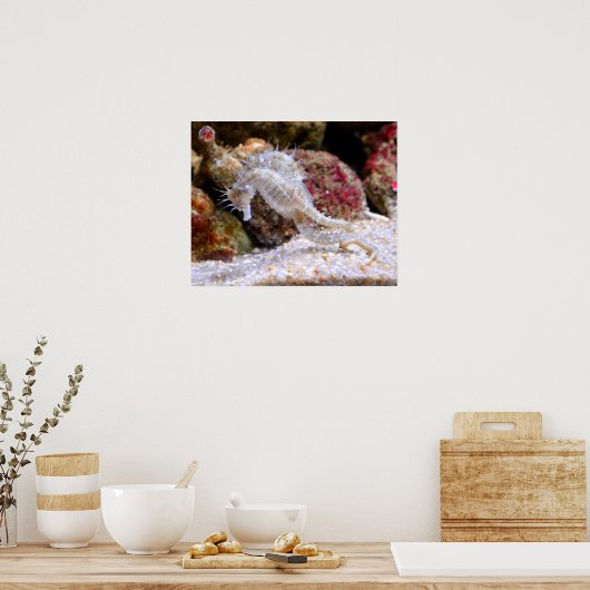 海の​​馬 ポスター (キッチン)