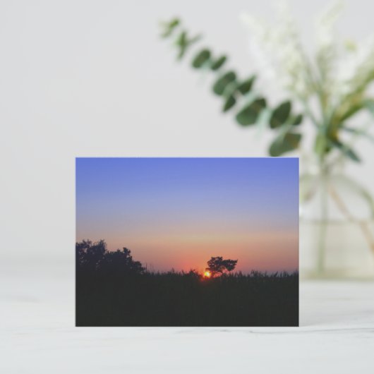 海のMD ポストカード (スタンド正面)