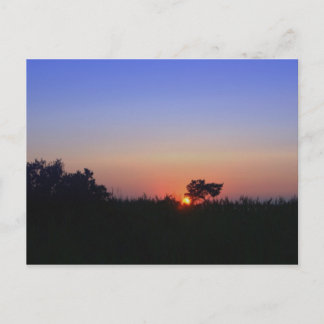 海のMD ポストカード