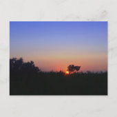 海のMD ポストカード (正面)