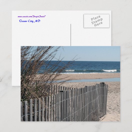 海はがき ポストカード (正面/裏面)