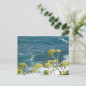 海はがき ポストカード (スタンド正面)