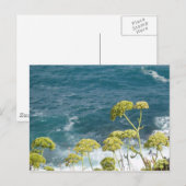 海はがき ポストカード (正面/裏面)