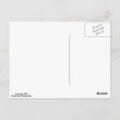 海はがき ポストカード (裏面)