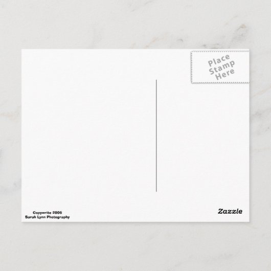 海はがき ポストカード (裏面)