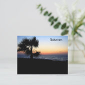 海はがき ポストカード (スタンド正面)