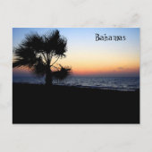 海はがき ポストカード (正面)