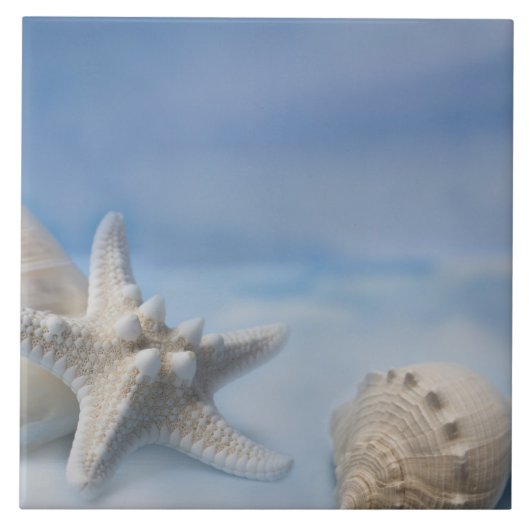 海は星の魚の手塗りの青い水彩画を殻から取り出します タイル (正面)