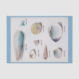 海は自然なパステル10"をX 15"ティッシュペーパー殻から取り出します 薄葉紙