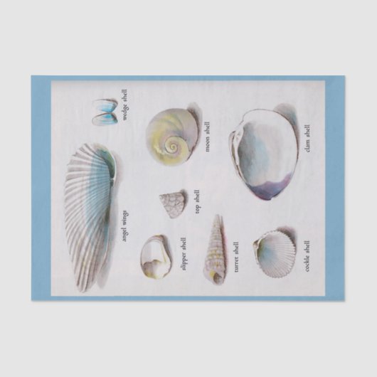 海は自然なパステル10"をX 15"ティッシュペーパー殻から取り出します 薄葉紙 (正面)