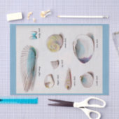 海は自然なパステル10"をX 15"ティッシュペーパー殻から取り出します 薄葉紙 (クラフト)