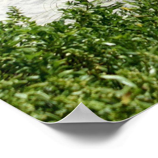 海への道 ポスター (角)