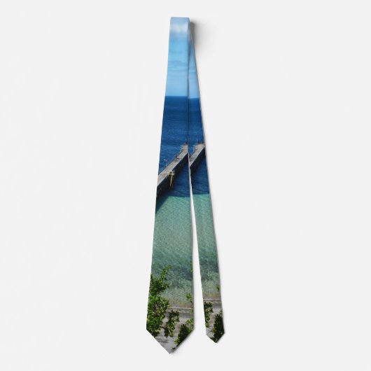 海を投げ出し ネクタイ (正面)