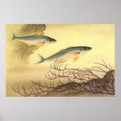 海を泳ぐマグロの魚 ポスター (正面)