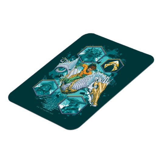 海を渡る海の馬に乗るアクアマン マグネット (左側)