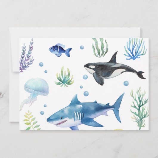 海アニマルボーイファースト誕生日写真招待状 招待状 (裏面)