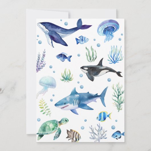 海アニマルボーイ誕生日招待状アンダーザシー 招待状 (裏面)