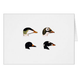 海アヒルのロゴ