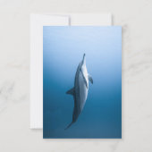 海イルカ沿岸のネイビーブルー結婚 出欠カード (裏面)