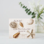 海ウィスパーエレガント- seashells save date 案内ポストカード (スタンド正面)