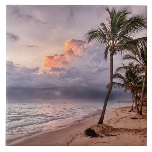 海ウェーブズサンディビーチサンセット タイル (正面)