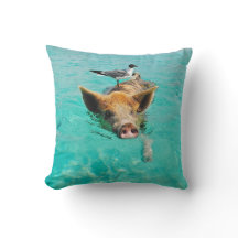 海カモメおよびブタ