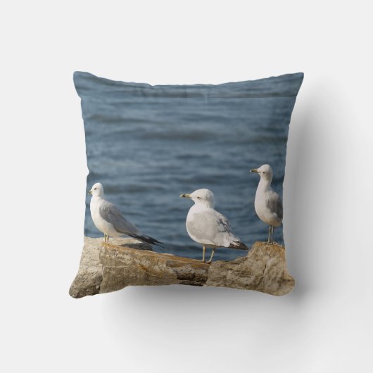 海カモメのアメリカ人のMoJoの枕 クッション (裏面)