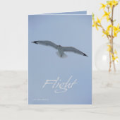 海カモメ飛行 カード (黄色い花)