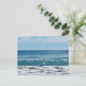 海カモメ オリジナル 鳥の写真 ポストカード (スタンド正面)