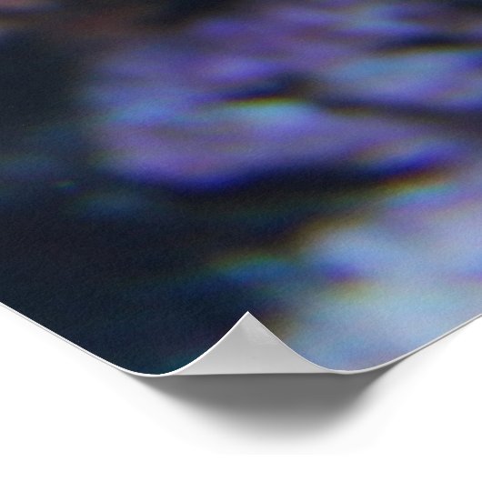 海カラフル生 ポスター (角)