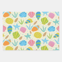 海カラフル辺の貝類とヒトデ