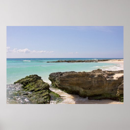 海カリブので ポスター (正面)