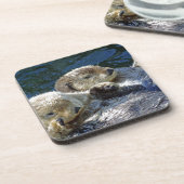 海カワウソ コースター (左側)