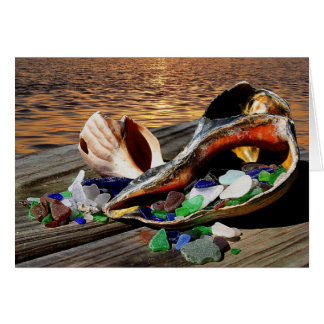 海カードからのギフト!