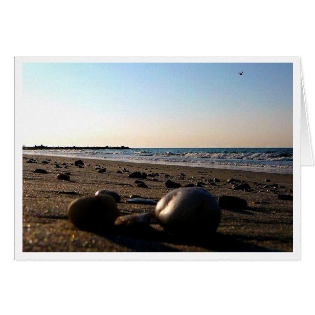 海カードによって (正面横)