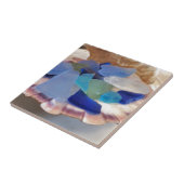 海ガラス付きホタテ貝殻 タイル (側面)