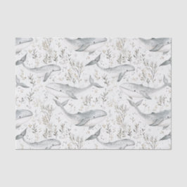 海クジラ 薄葉紙