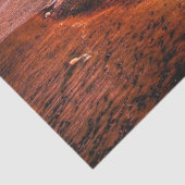 海サンセット夕べの背景の分離 薄葉紙 (詳細)