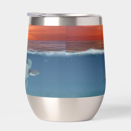 海サンライズウミガメ (右面)