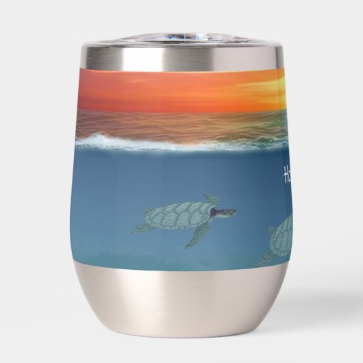 海サンライズウミガメ (正面)