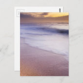 海サンライズ ポストカード (正面/裏面)