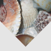 海シェルズデコページティッシュペーパー 薄葉紙 (詳細)