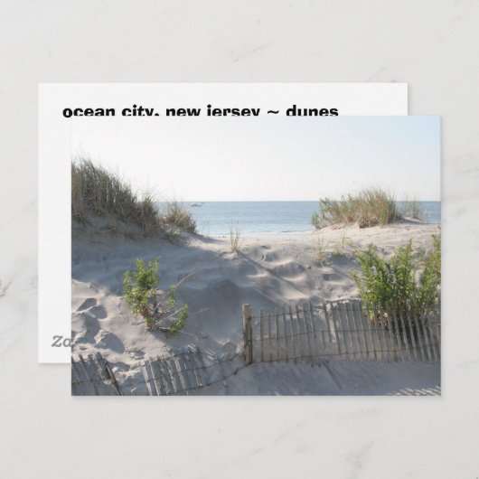 海シティデュネス ポストカード (正面/裏面)