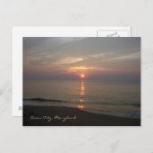 海シティメリーランドはがき ポストカード (正面/裏面)