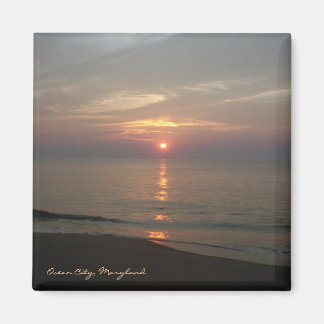 海シティメリーランド磁石 マグネット