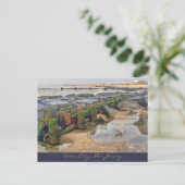 海シティー、ニュージャージーのポストカードモーニング泳ぐ人 ポストカード (スタンド正面)