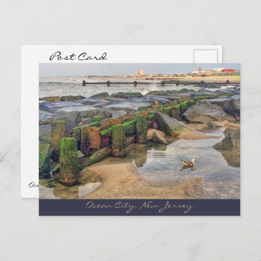 海シティー、ニュージャージーのポストカードモーニング泳ぐ人 ポストカード (正面/裏面)