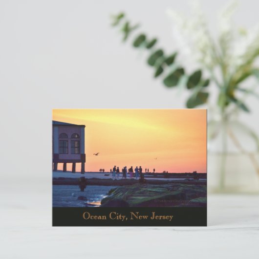 海シティー、ニュージャージーの音楽ピアのはがき 案内ポストカード (スタンド正面)